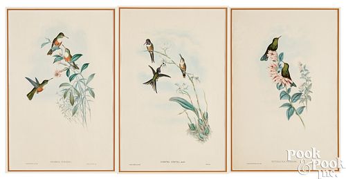 THREE GOULD & RICHTER HUMMINGBIRD LITHOGRAPHSThree