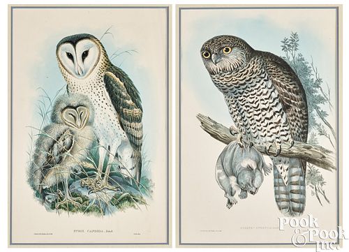 TWO GOULD RICHTER COLOR OWL LITHOGRAPHSTwo 2faf21e