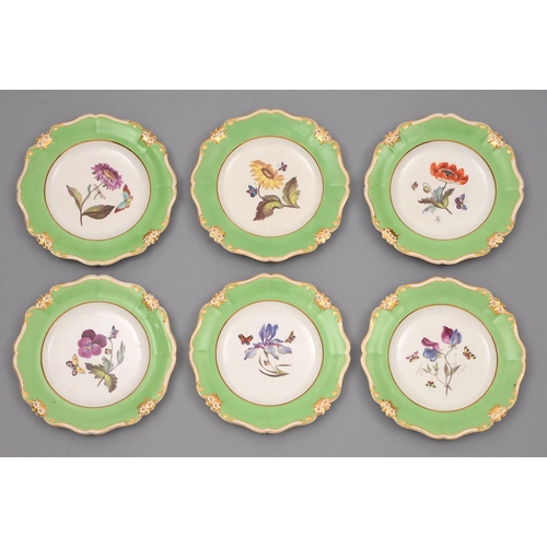 A set of six Derby botanical plates  2fb0053