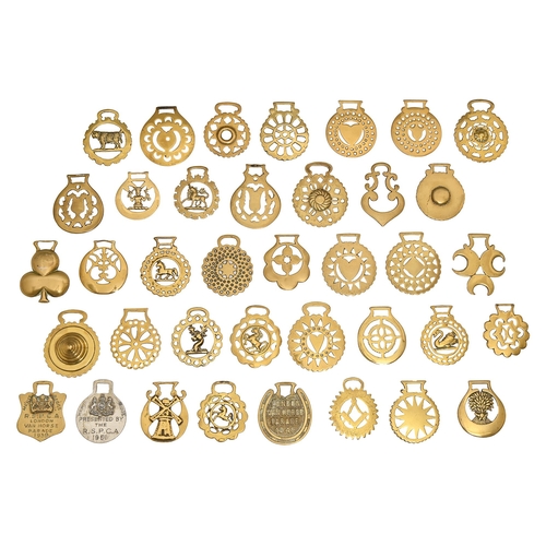 Thirty eight horse brasses mainly 2fb0199
