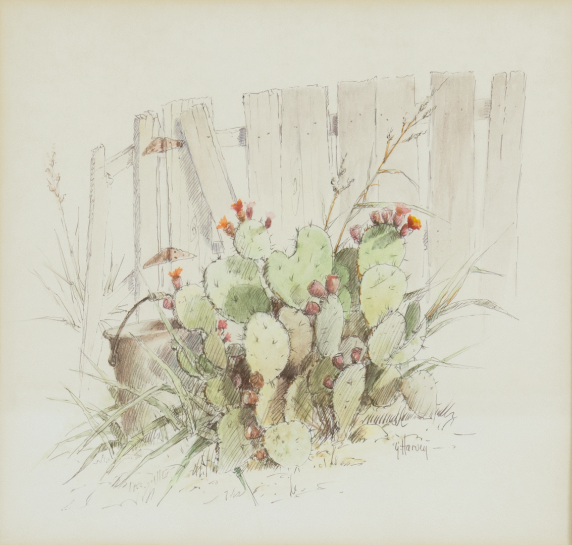 G. HARVEY (1933-2017), CACTUS BLOOMS