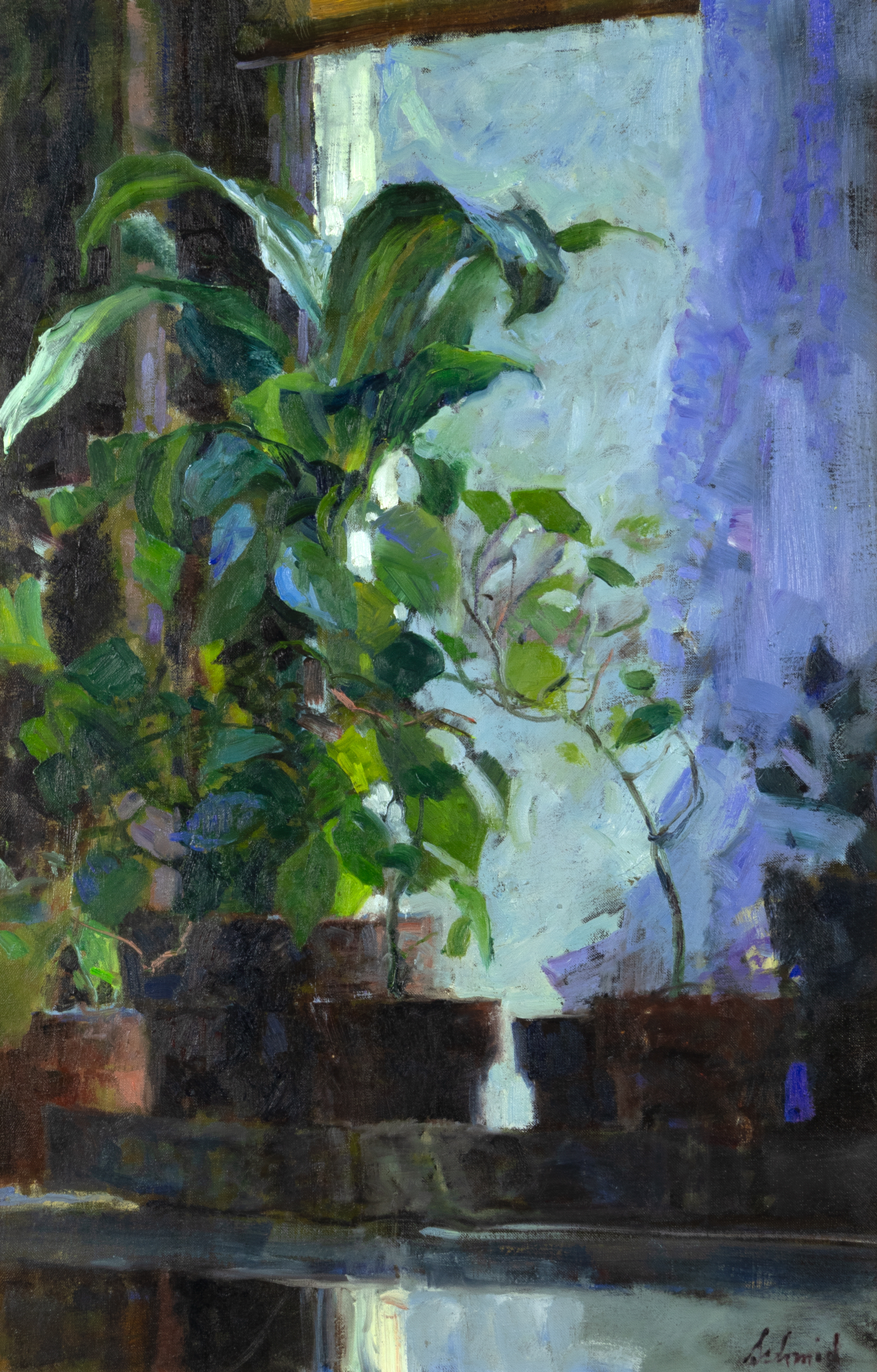 RICHARD SCHMID 1934 2021 HOUSEPLANTS 2fb0d3b