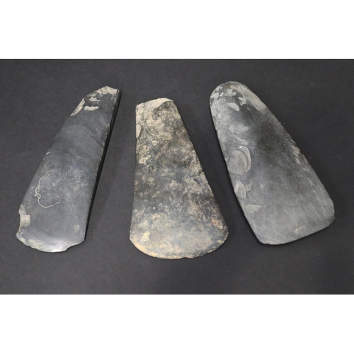 Lot of three Mount Hagen axe heads,