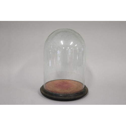 Antique Victorian glass dome on 2fb1577