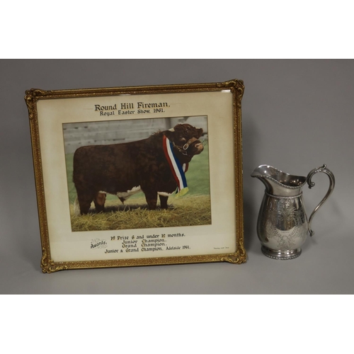 Silver plate trophy jug retailed 2fb182d