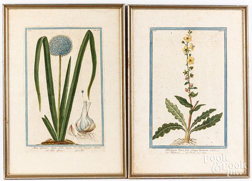 PAIR OF ENGRAVED BOTANICALS, LATE 18TH