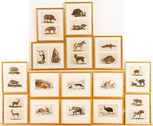 FIFTEEN ANIMAL ENGRAVINGSFifteen animal