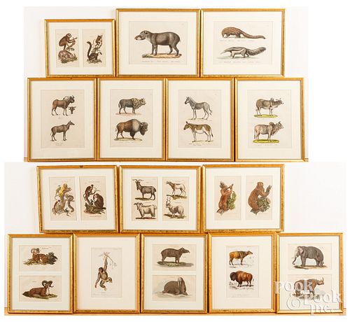 FIFTEEN ANIMAL ENGRAVINGSFifteen animal