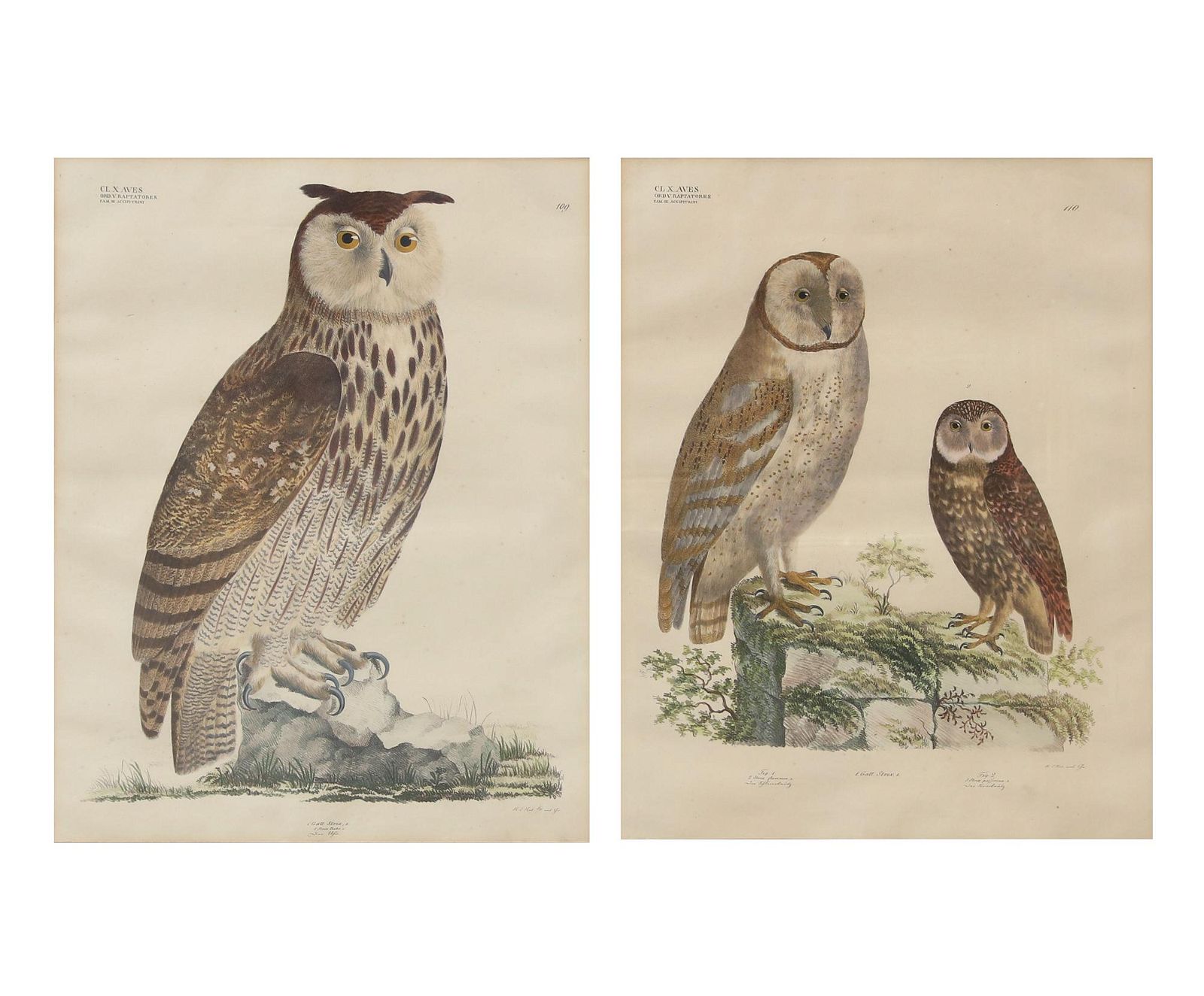 TWO 19TH CENTURY COLORED LITHOGRAPHS 2fb270f