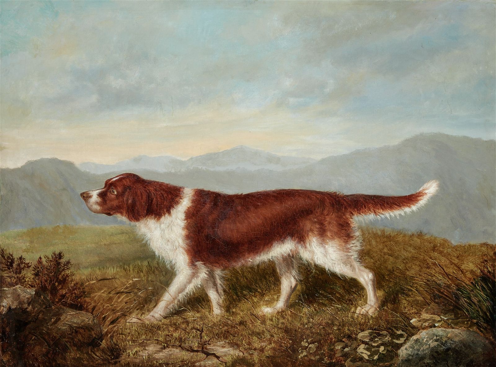 ENGLISH SCHOOL A POINTER IN AN 2fb3267