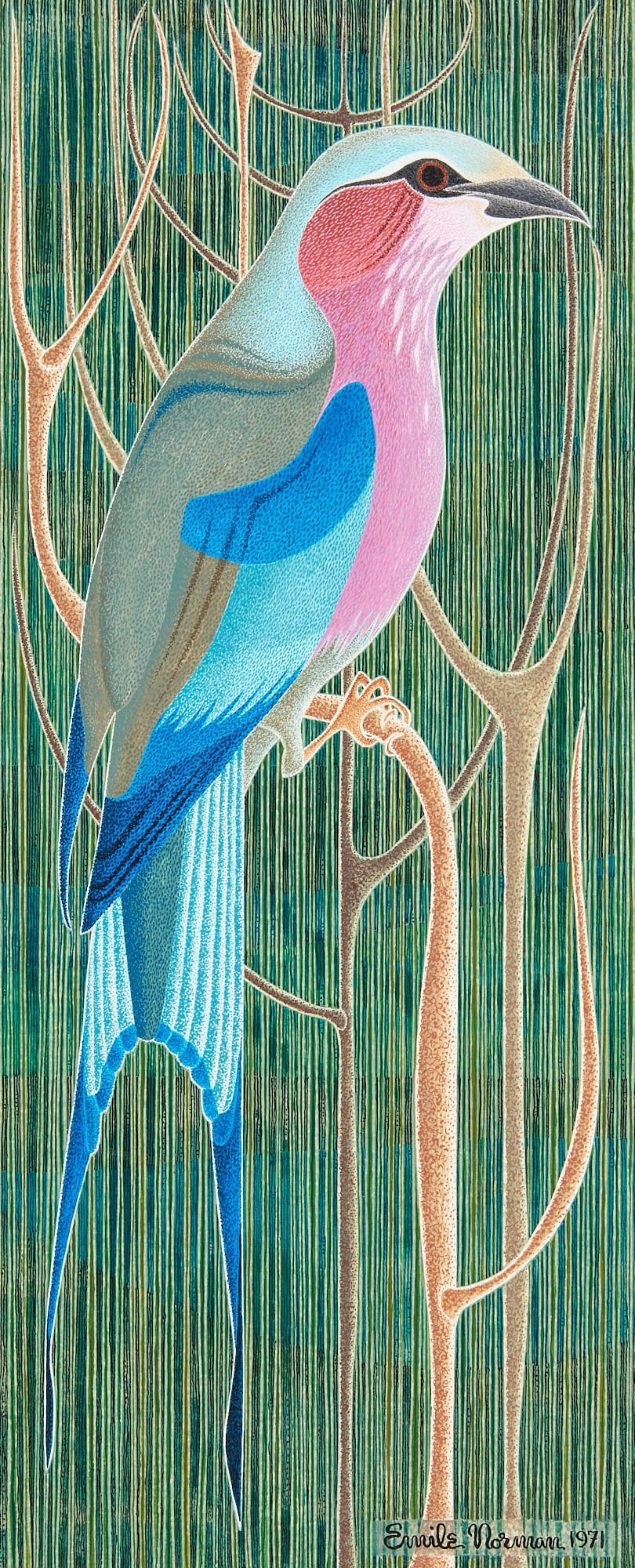 EMILE NORMAN, LILAC BREASTED ROLLER,