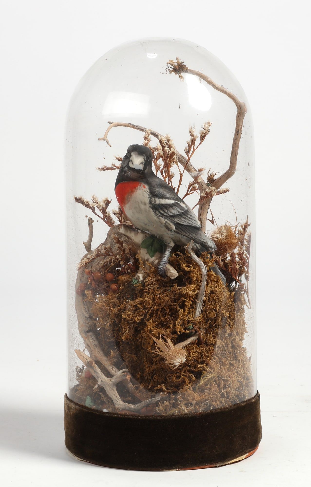 A PORCELAIN MODEL OF A BIRD UNDER GLASS