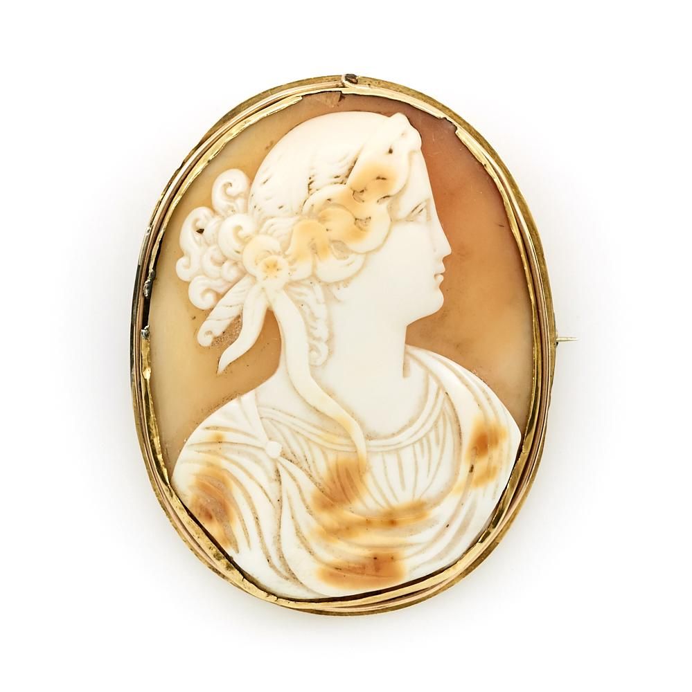 14K YELLOW GOLD SHELL CAMEO BROOCH14k 3d1eac