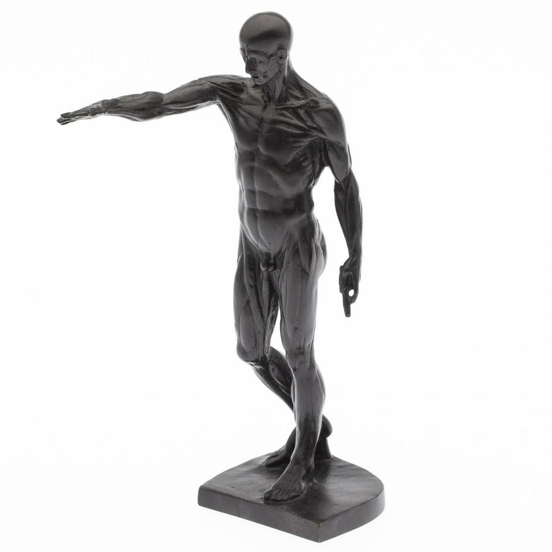 ANATOMICAL BRONZE OF A STANDING 3d32c9