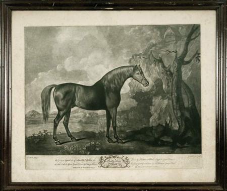 After George Stubbs BROWN HORSE