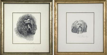 Artist Unknown THE LHASA APSO THE