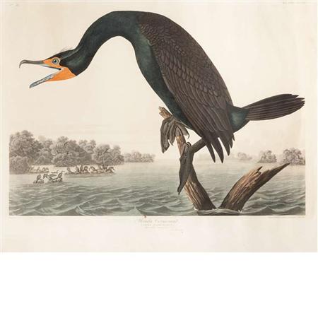 After John James Audubon FLORIDA