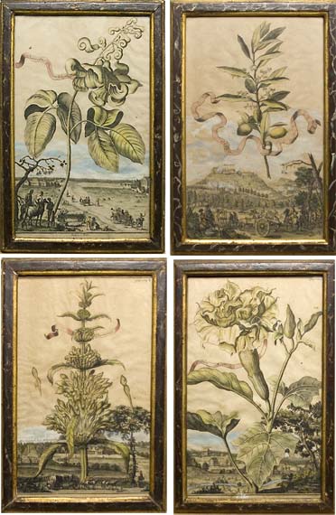Artist Unknown PLANT AND LANDSCAPE 69aa9