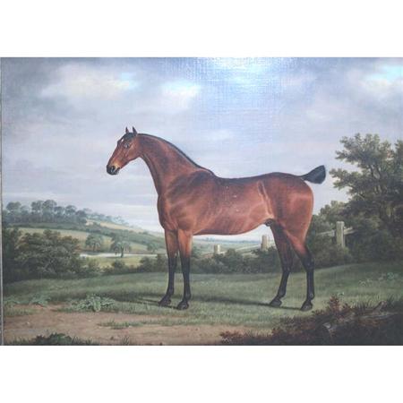 George Stevens Champion Racehorse  69d5e