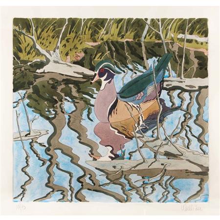 Neil Welliver WOOD DUCK Hand colored 6a227