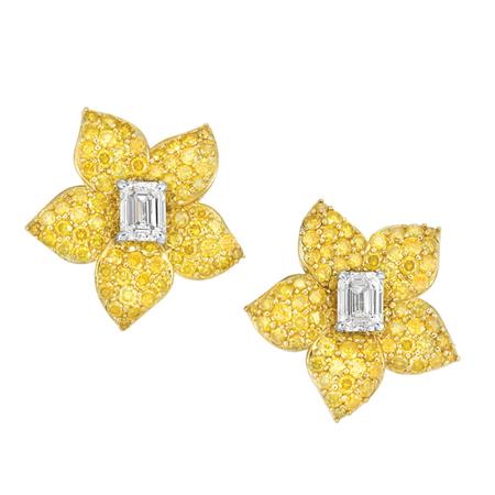 Pair of Gold, Diamond and Fancy