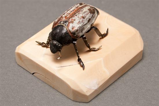 Austrian cold painted bronze beetle 78383