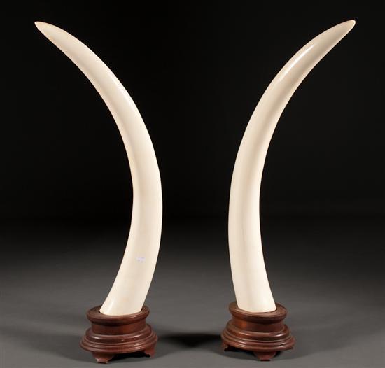 Pair of African elephant ivory 78440