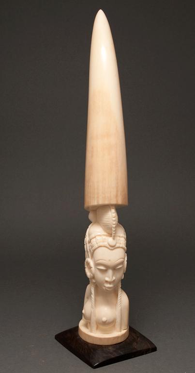 African elephant tusk tip, Nigeria,