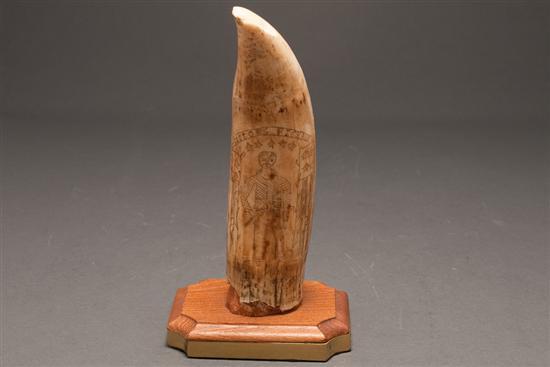 American scrimshaw tusk dated 786ff