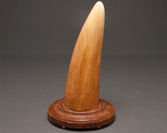 Ivory tusk section, 19th century 9 in.