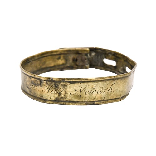 An English sheet brass dog collar,