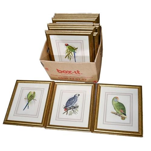 A set of twelve Victorian ornithological