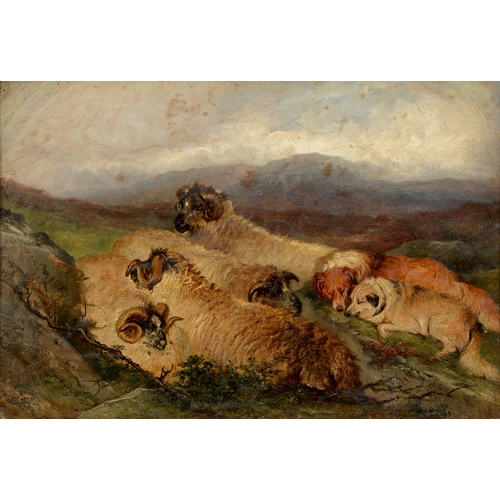 Follower of Sir Edwin Landseer - Sheep