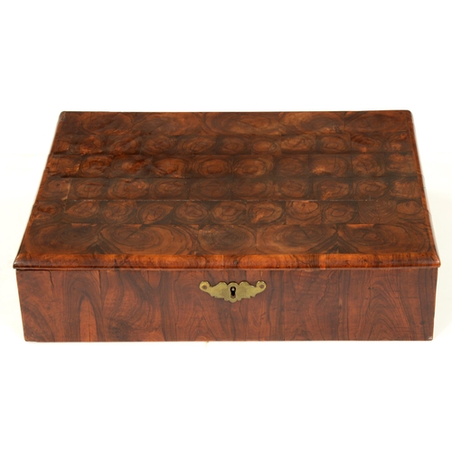 An oyster olive wood lace box,