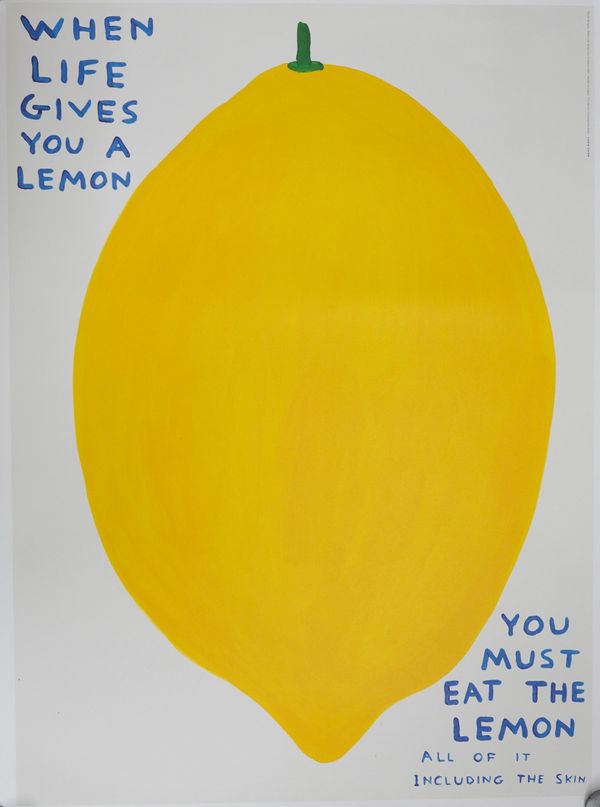 DAVID SHRIGLEY (BRITISH, B. 1968)