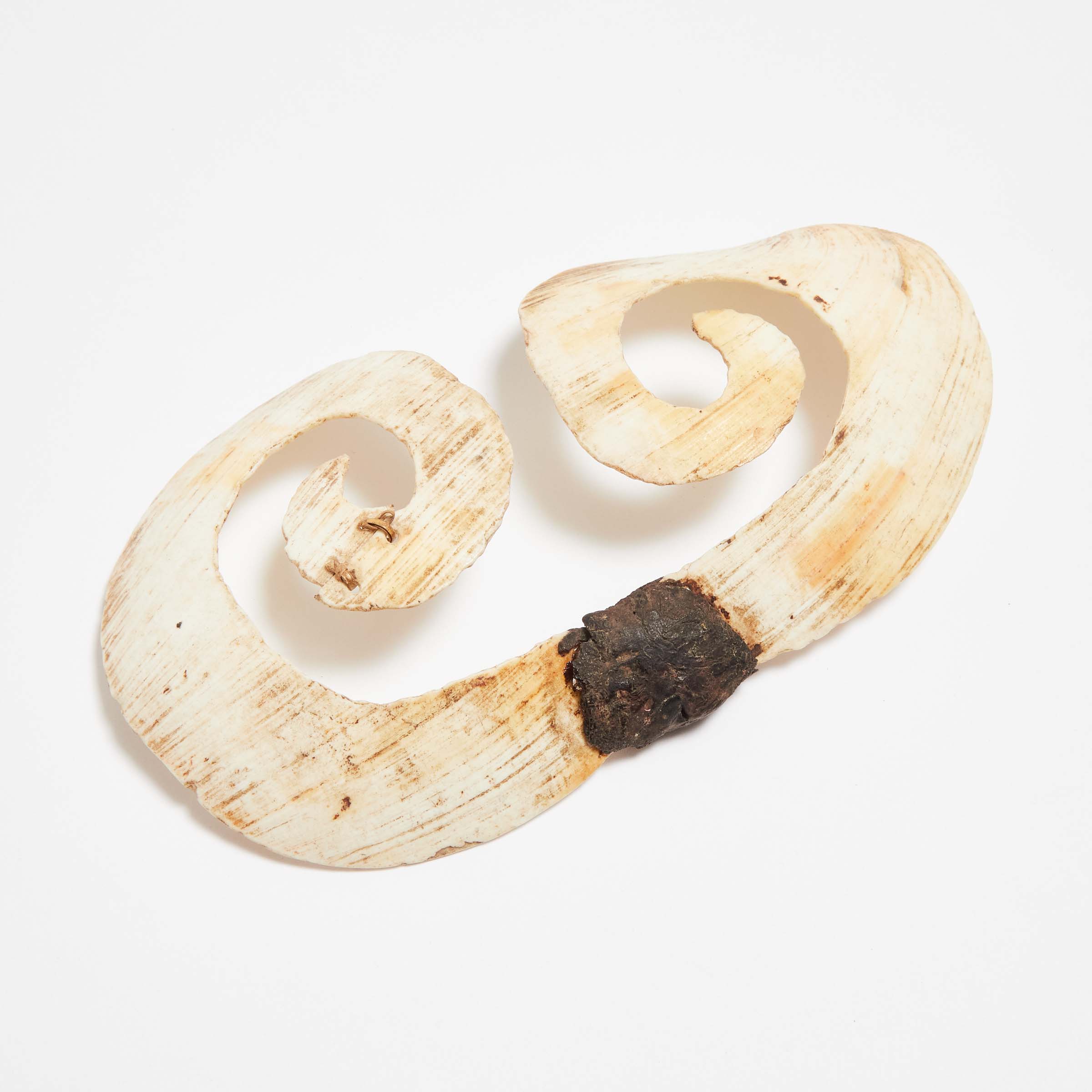 Asmat Shell Nose Ornament (Bipanew),