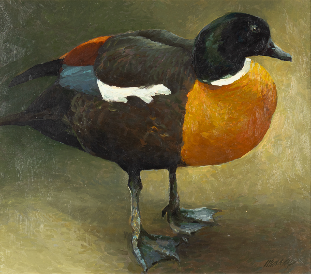 RICHARD MURRAY (1948- ), SHELDUCK