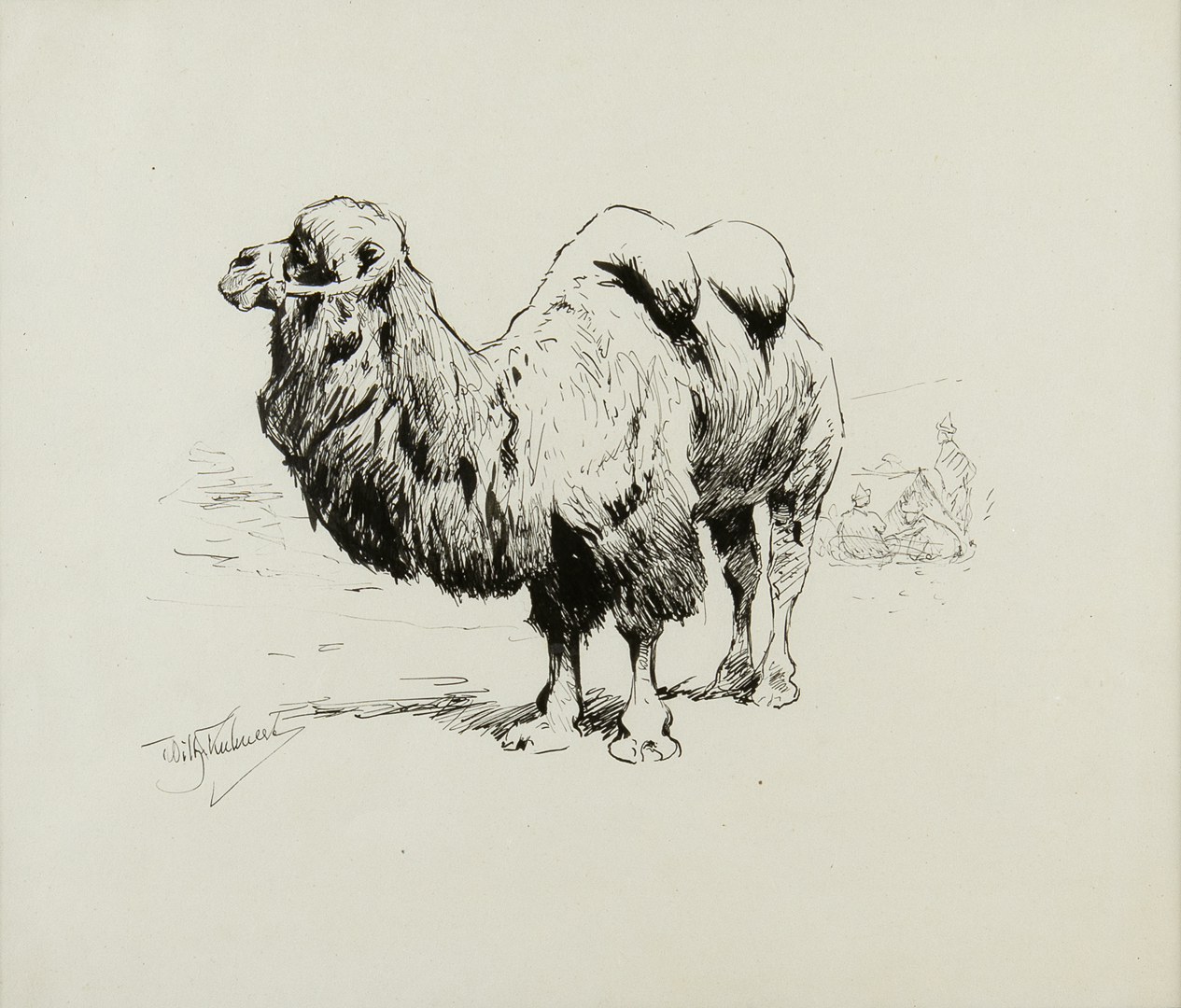 WILHELM KUHNERT (1865-1926), CAMEL