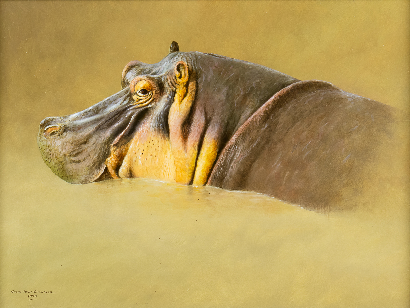 COLIN CHANDLER (1955- ), HIPPOPOTAMUS