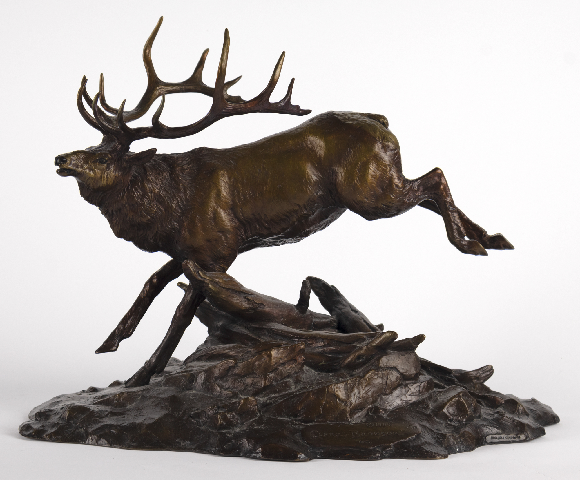 CLARK BRONSON (1939- ), ROYAL ELK