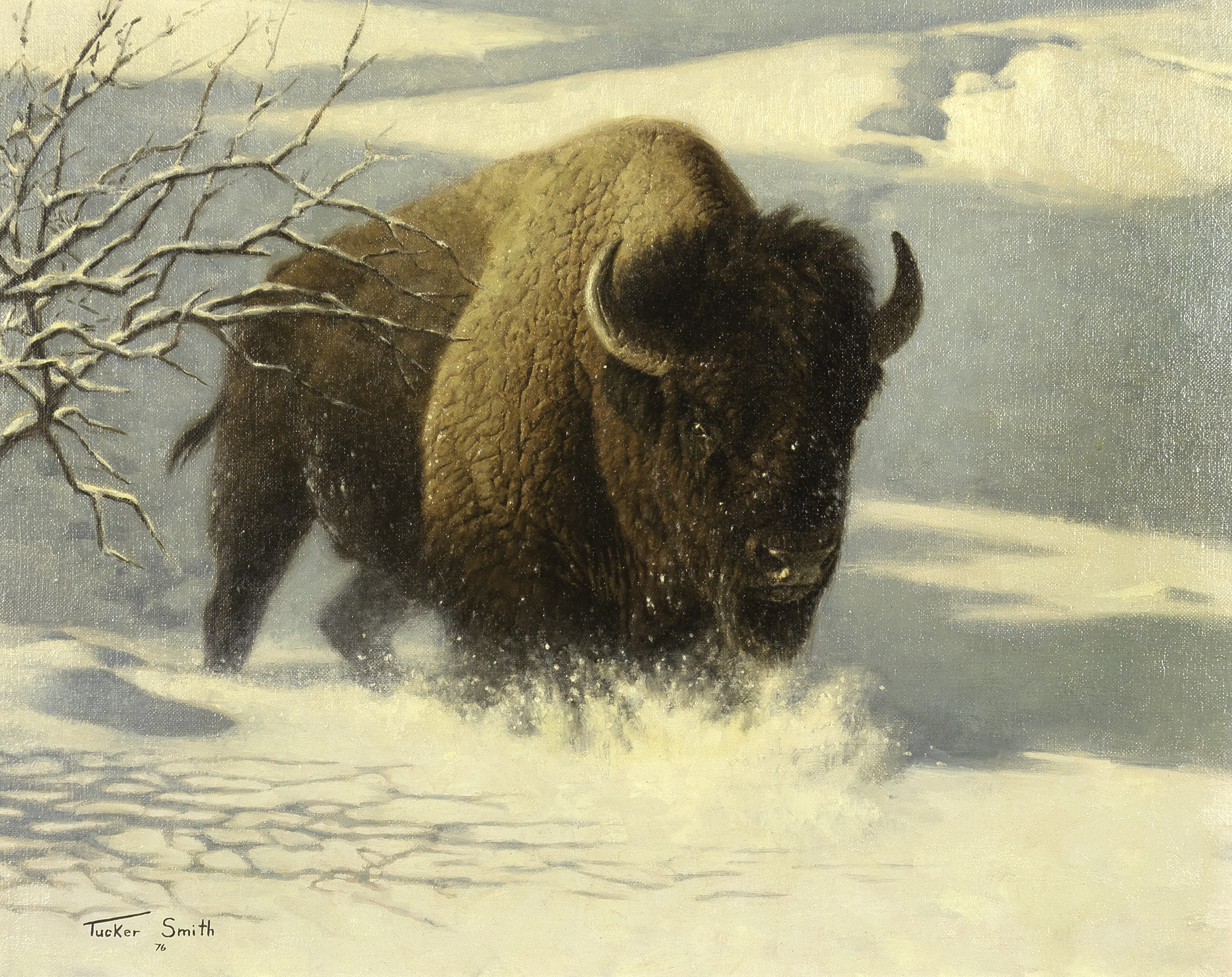 TUCKER SMITH (1940- ), BISON AND