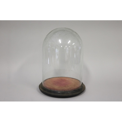 Antique Victorian glass dome, on