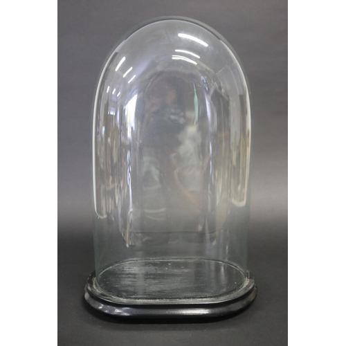 Glass dome with wooden base, approx