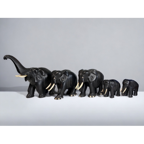 A HERD OF CARVED EBONY GRADUATING