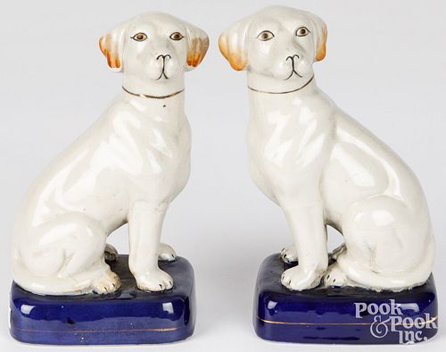 PAIR OF STAFFORDSHIRE SEATED LABRADOR