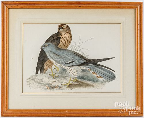 GOULD COLOR LITHOGRAPHGould color