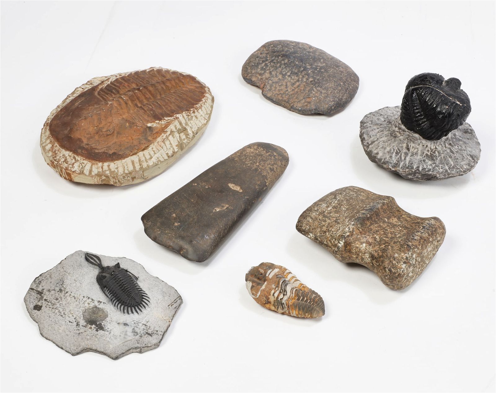 FOUR TRILOBITES AND THREE STONE AGE