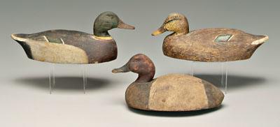 Three duck decoys: male and female mallards,