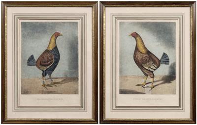 Two fighting cock engravings: &quot;Streaky