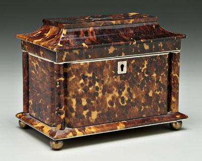 Tortoise tea caddy richly textured 90fc9